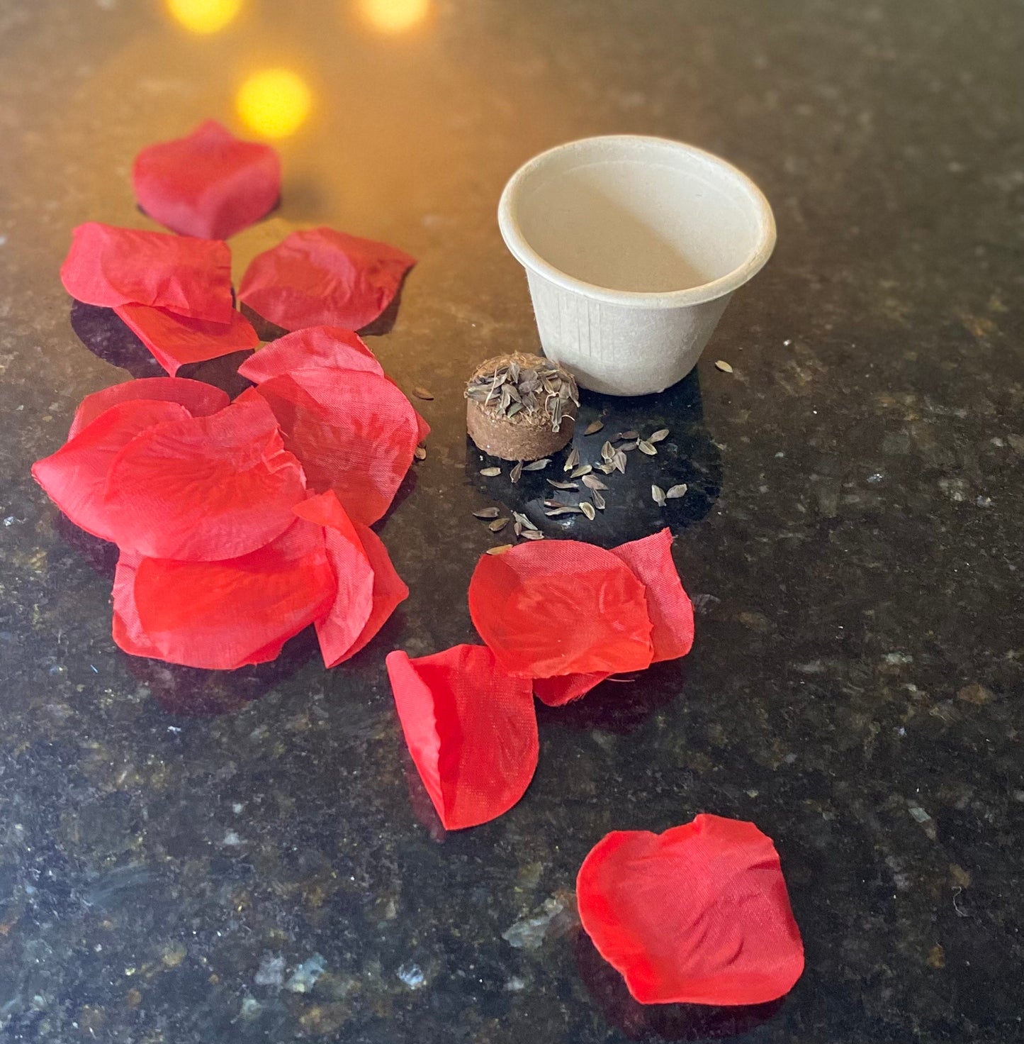 Zinnia Liliput Starter Kit Mix