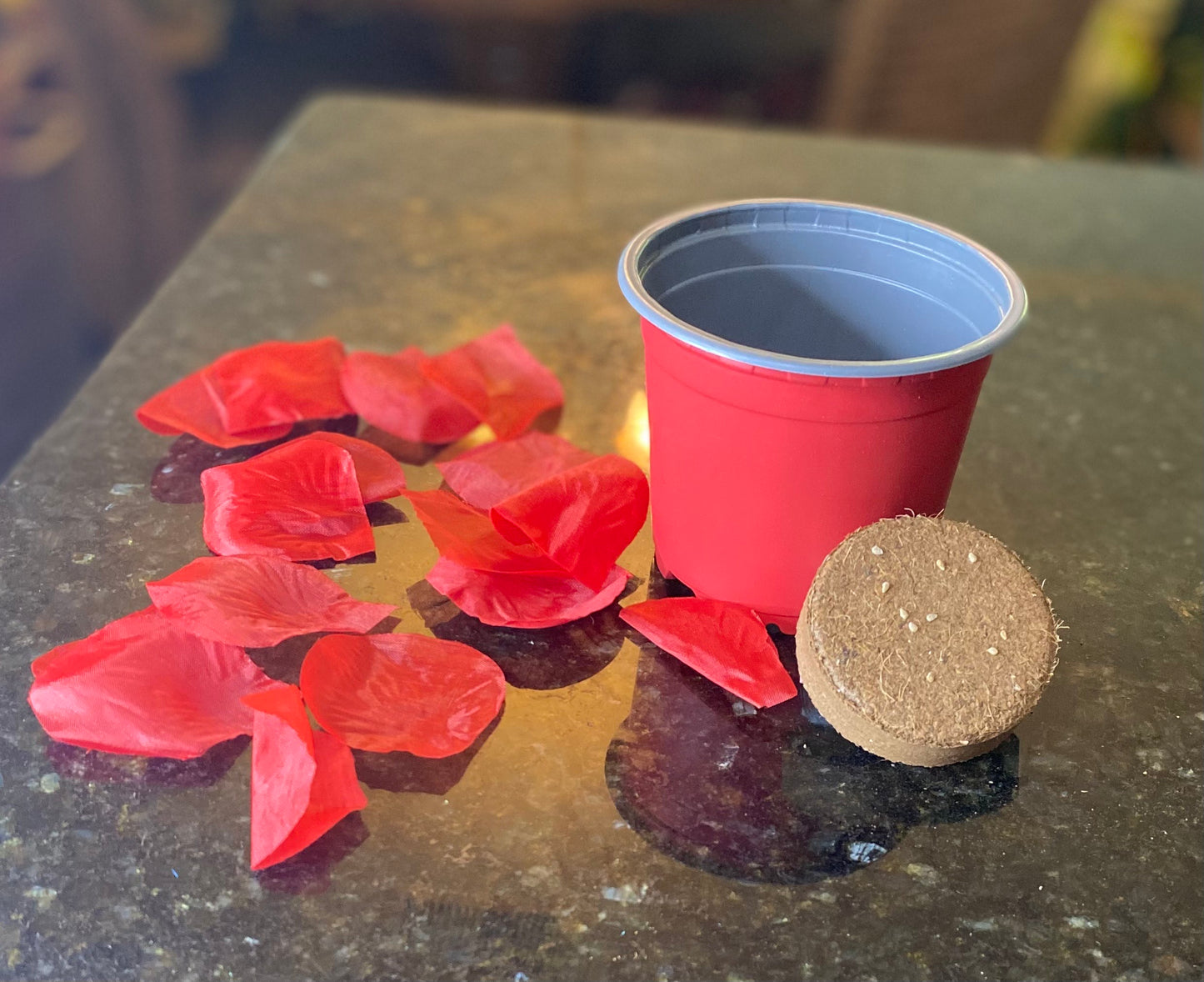 Tomato Red Cherry Starter Kit Mix