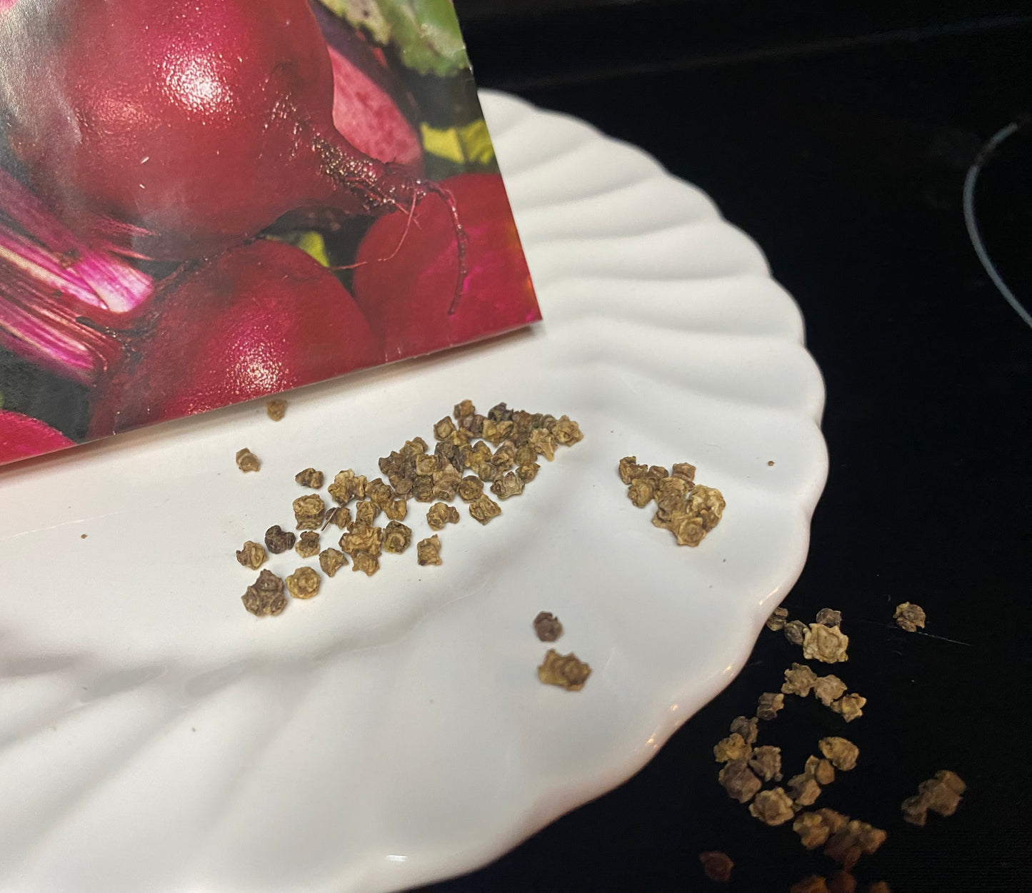 Beet Plant Seeds
