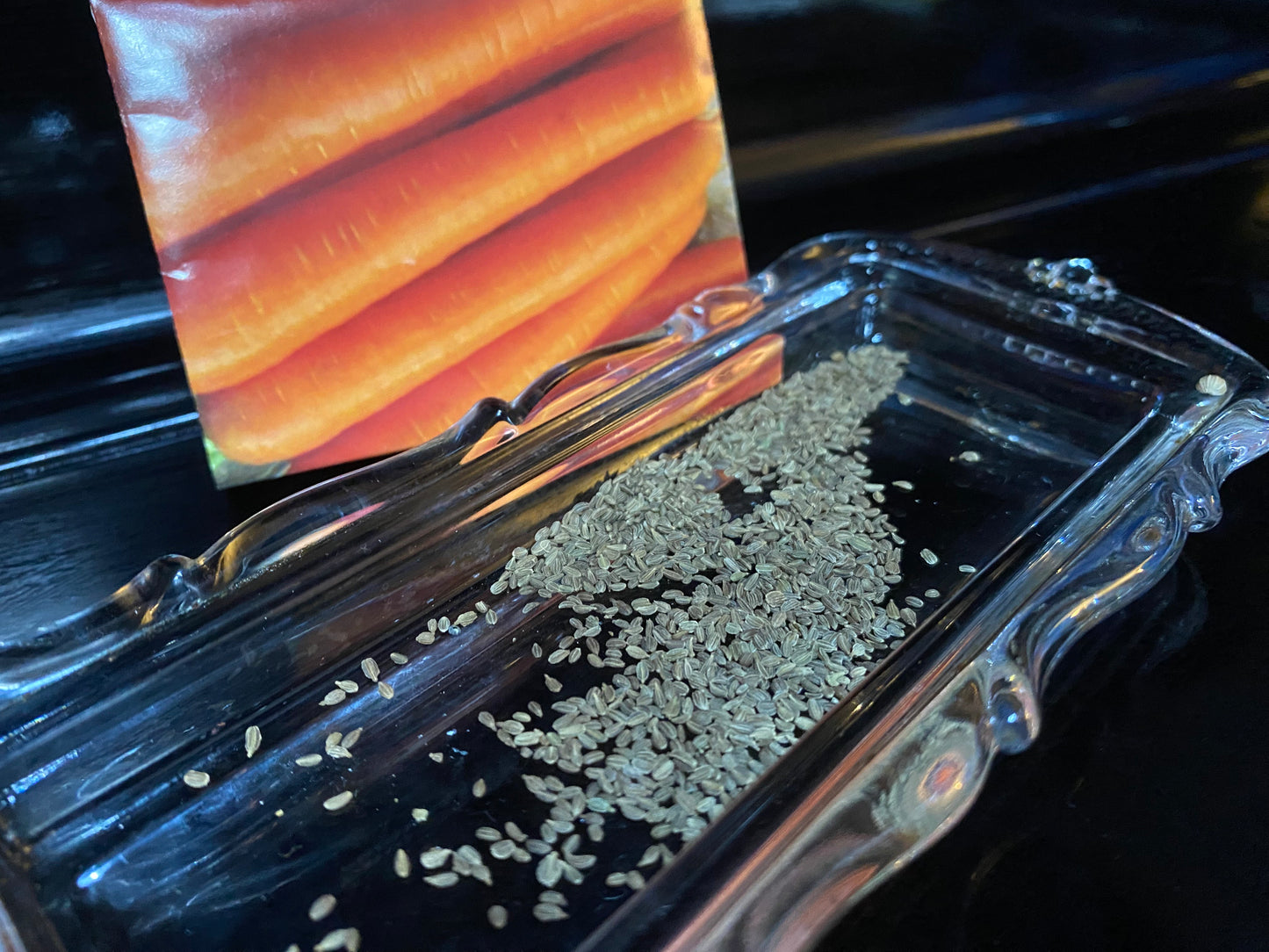 Nantes Supreme Carrot Plant Seeds