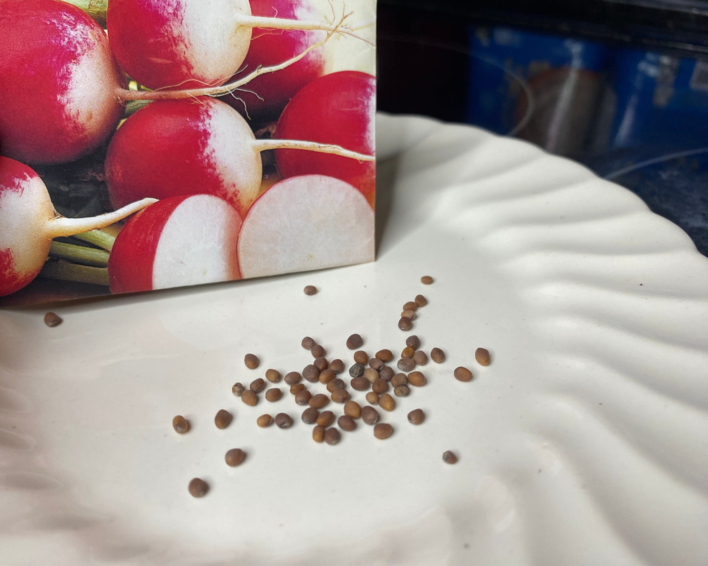 Sparkler White Tip Radish Plant Seeds