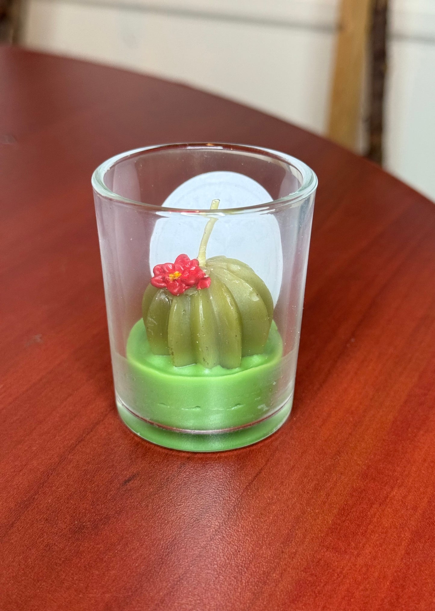 Assorted Succulent Cactus Tealight Candles