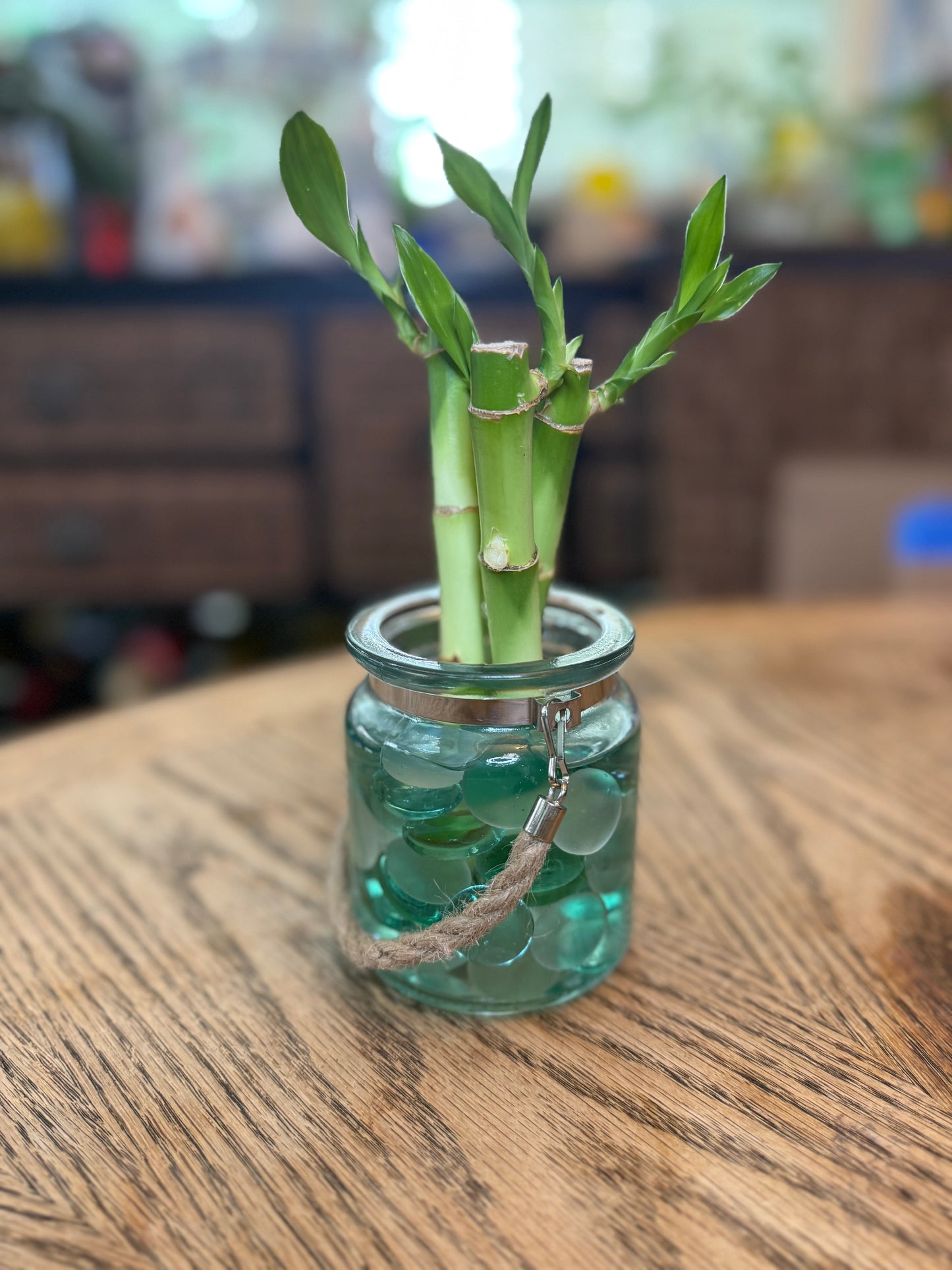 6" Lucky Bamboo Vase Set