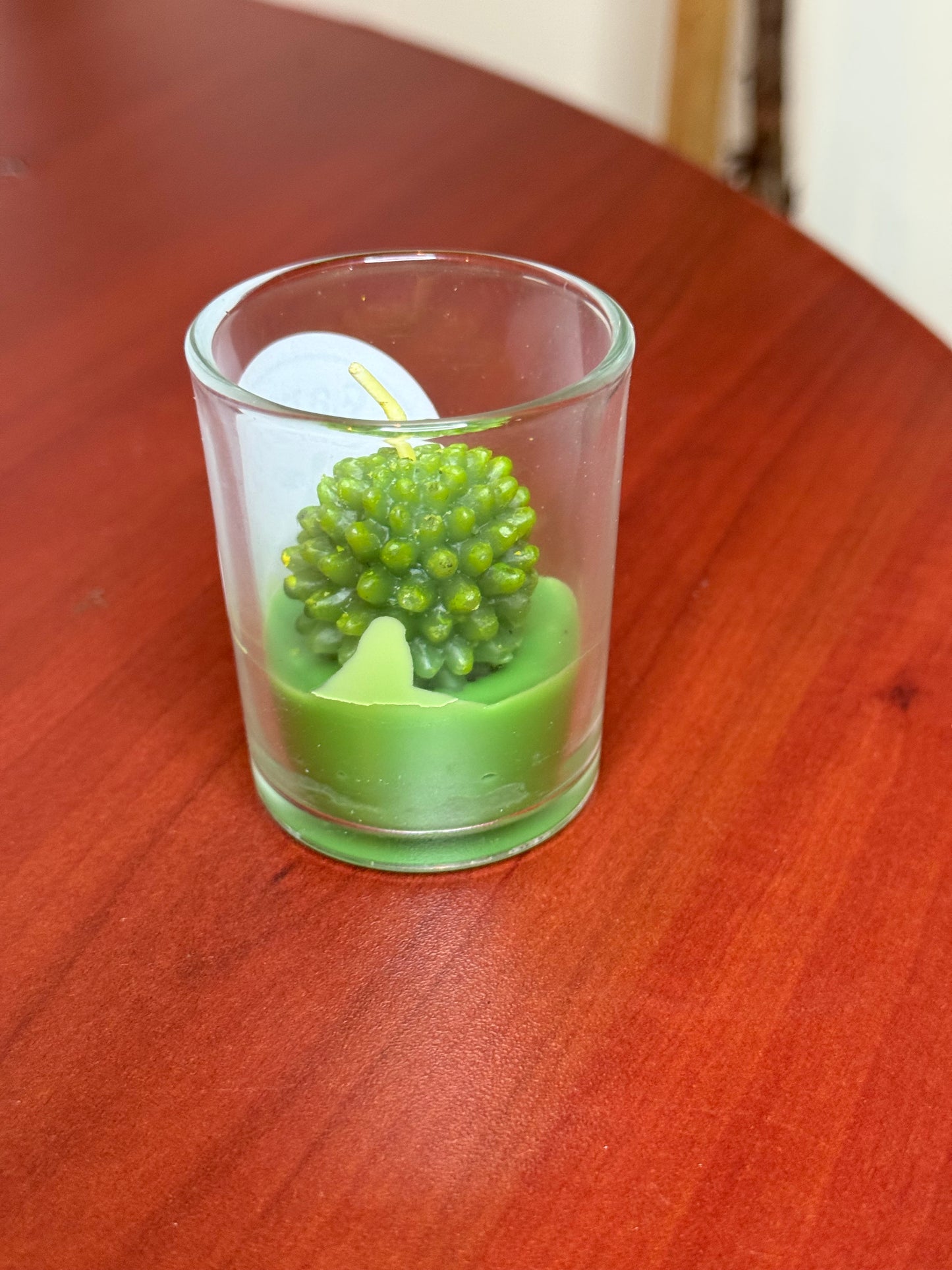 Assorted Succulent Cactus Tealight Candles