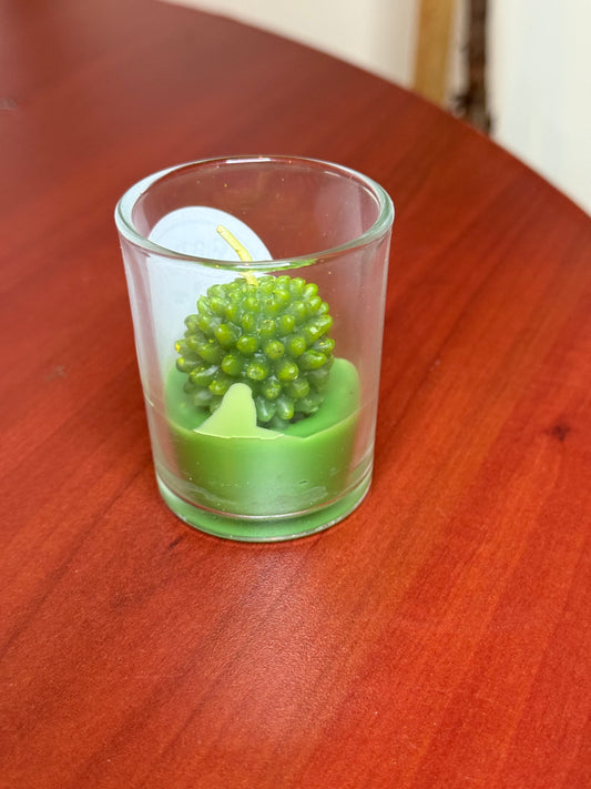 Assorted Succulent Cactus Tealight Candles
