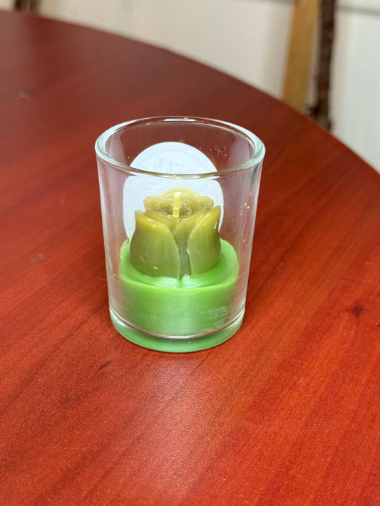 Assorted Succulent Cactus Tealight Candles