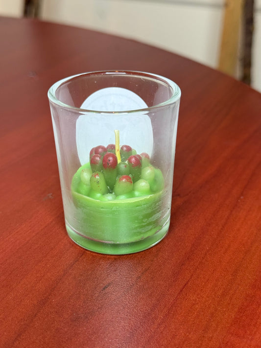Assorted Succulent Cactus Tealight Candles