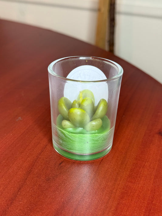 Assorted Succulent Cactus Tealight Candles
