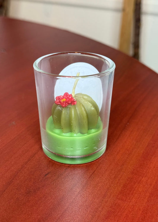 Assorted Succulent Cactus Tealight Candles