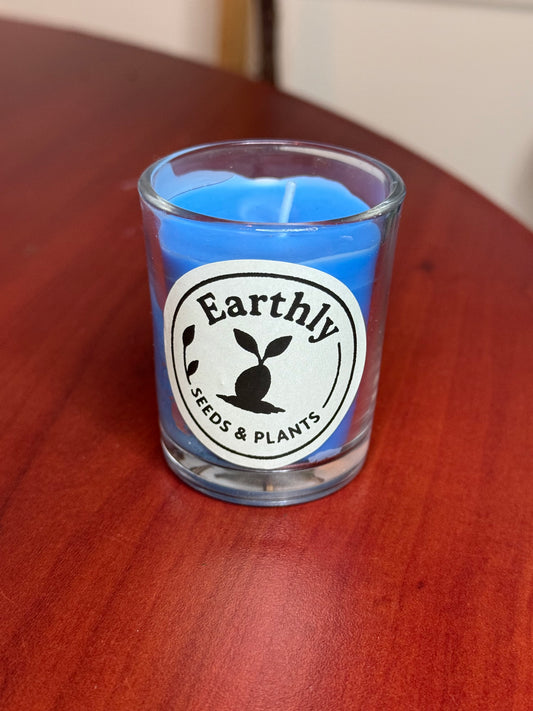 Fig Scented Candles