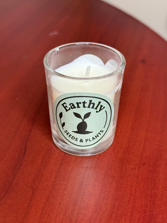Jasmine Scented Candles