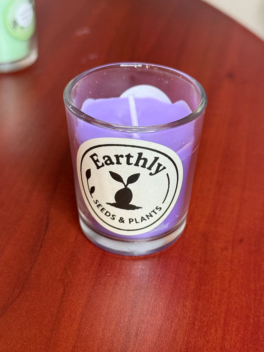 Lavender Scented Candles