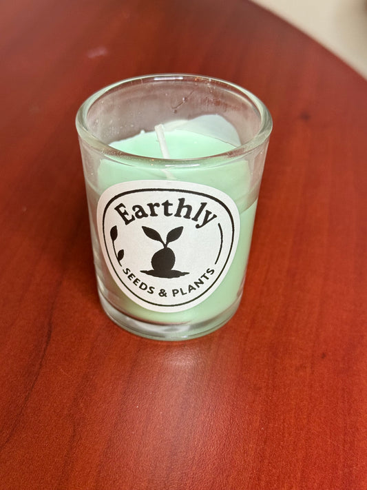 Vanilla Scented Candles